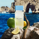 Dolce & Gabbana Light Blue Feminino Eau de Toilette 100ml - imagem do produto